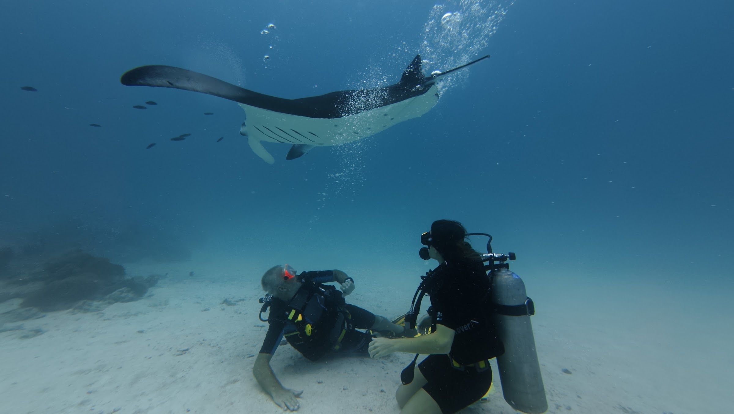 Students kneeling on the sand while a manta passes